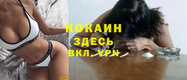 молекула духа Алексин