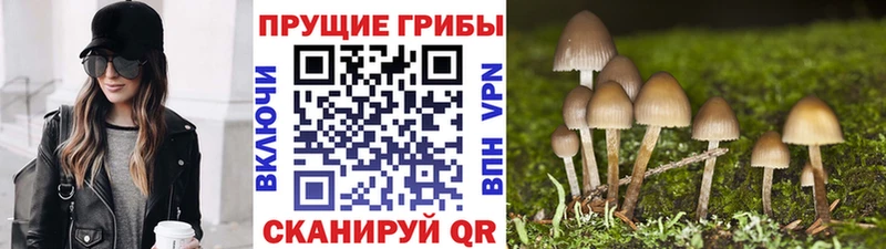 Псилоцибиновые грибы ЛСД купить наркотик Бийск
